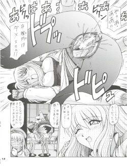 Page 15 of RED MUFFLER D