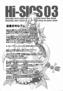 Page 24 of Hi-SICS 03