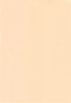 Page 3 of CONDENSED WIFE