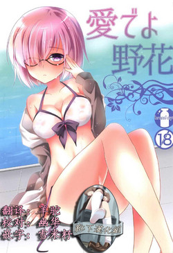 (COMIC1☆11) [brand nyu (nyu)] Medeyo Nobana (Fate/Grand Order) [Chinese] [靴下汉化组]