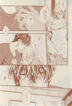 Page 529 of CIEL 2015-03