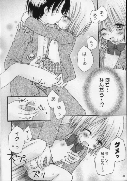 Page 26 of CAPTIVE 2+