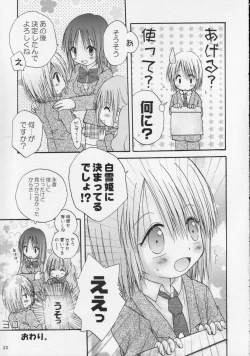 Page 29 of CAPTIVE 2+