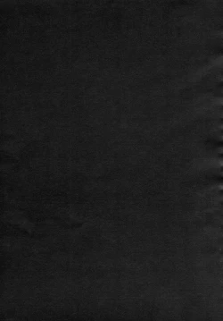 Page 48 of Remilia Ojou-sama no Bonnou