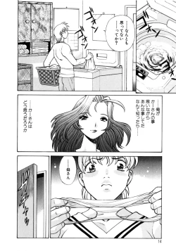 Page 16 of Hito ni Ienai Aidagara