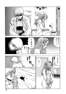 Page 48 of Hito ni Ienai Aidagara
