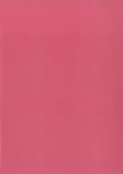 Page 20 of GirlPan Bonyuubu.