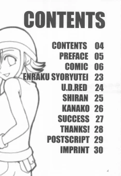 Page 4 of Akai Tambourine