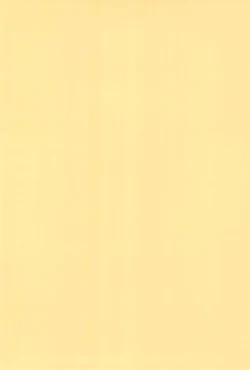 Page 38 of Zenjinrui OmaP-ka Keikaku