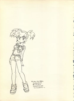 Page 12 of NEOER 2010