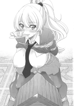 Page 3 of Darjeeling-sama no Ponytail