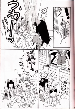 Page 12 of ミラクルシーフードケーキ