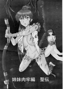 Page 16 of 謎の赤猫団 7 淫獣大聖戦 嫉 Twin Angel War 姉妹肉牢編・聖伝 (Injuu Seisen Twin Angels