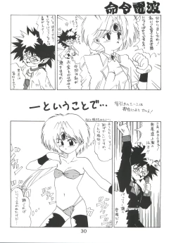 Page 30 of Meirei Denpa