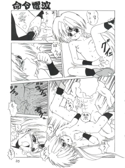 Page 35 of Meirei Denpa