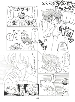 Page 45 of Meirei Denpa