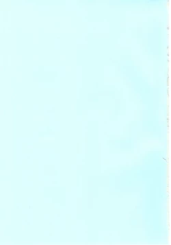 Page 2 of Gohoushi Cinderella