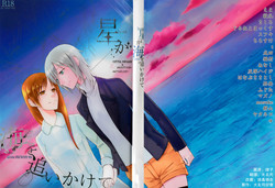 Download Hoshi ga Umi o Oikakete