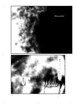 Page 3 of Blumenblatt