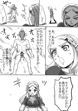 Page 5 of Link to Zelda no Shoshinsha ni Yasashii Sex Nyuumon