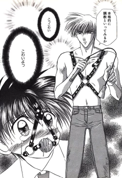 Page 156 of Bishounen Kinbaku Nisshi