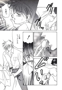 Page 29 of Bishounen Kinbaku Nisshi