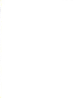 Page 2 of Baka to Koumi to Hotaijisshuu