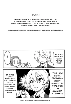 Page 3 of Darjeeling-sama no Ponytail
