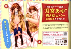 Page 114 of Dakimakura Cover Gashuu Bishoujo Game Hen