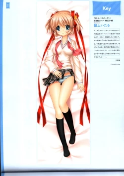 Page 38 of Dakimakura Cover Gashuu Bishoujo Game Hen