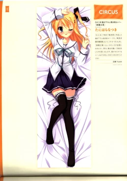 Page 44 of Dakimakura Cover Gashuu Bishoujo Game Hen