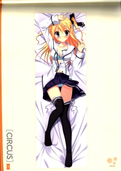 Page 45 of Dakimakura Cover Gashuu Bishoujo Game Hen