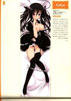 Page 46 of Dakimakura Cover Gashuu Bishoujo Game Hen