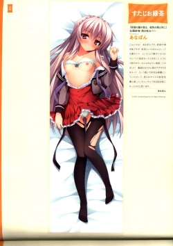 Page 52 of Dakimakura Cover Gashuu Bishoujo Game Hen