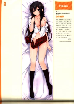 Page 66 of Dakimakura Cover Gashuu Bishoujo Game Hen