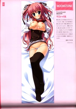 Page 92 of Dakimakura Cover Gashuu Bishoujo Game Hen