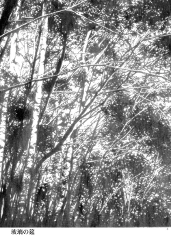 Page 4 of Hari no Mushiro