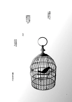 Page 2 of phalaenopsis