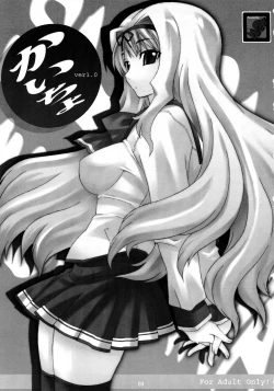 Page 2 of Kaicyo ver. 1.0