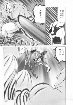 Page 161 of INDEEP Vol.07