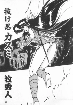 Page 25 of INDEEP Vol.07