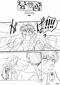 Page 25 of Harricane Volt