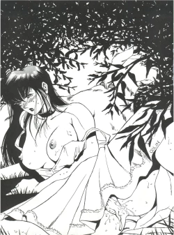 Page 29 of Colins Illustrated Collection