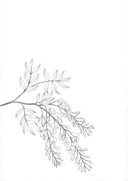 Page 21 of Hikari no Kimi no Saganaki Keikaku <Fujitsubo>