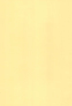 Page 29 of Dagashiya Nite Honpen