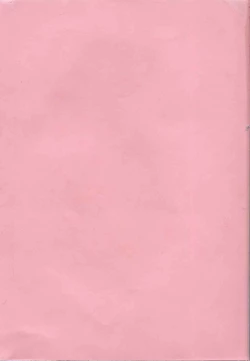 Page 195 of Coquettich Shokai Genteiban