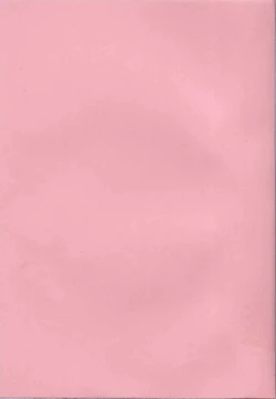 Page 7 of Coquettich Shokai Genteiban