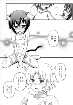 Page 16 of OIL COMBINATION HOLD