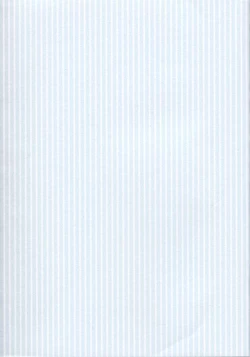 Page 43 of Kaze No Prism