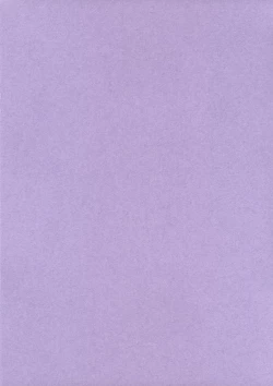 Page 2 of Suicida #13